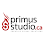 Primus Studio • Creative Visual Solutions logo