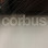 Corbus design logo
